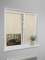 Рулонная штора Санскрин SS 300-02